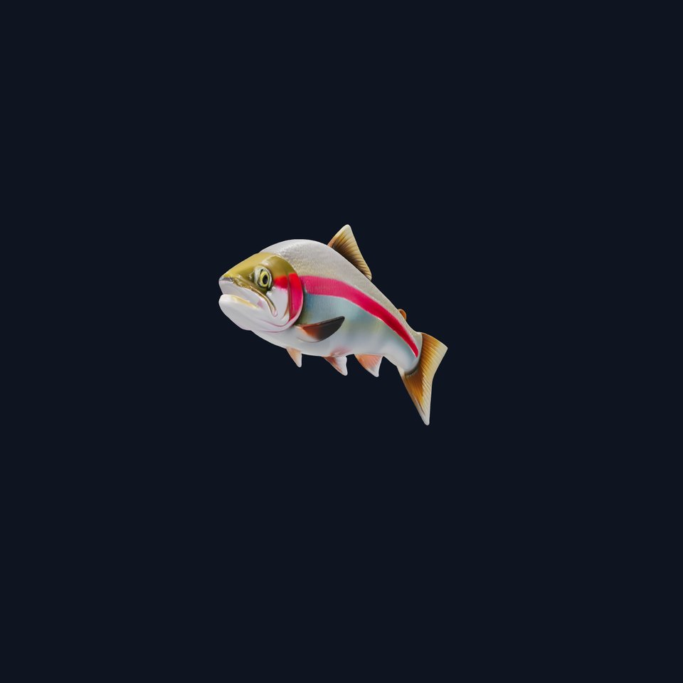 Rainbow Trout Detailed Fish Model Pack